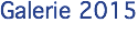 Galerie 2015